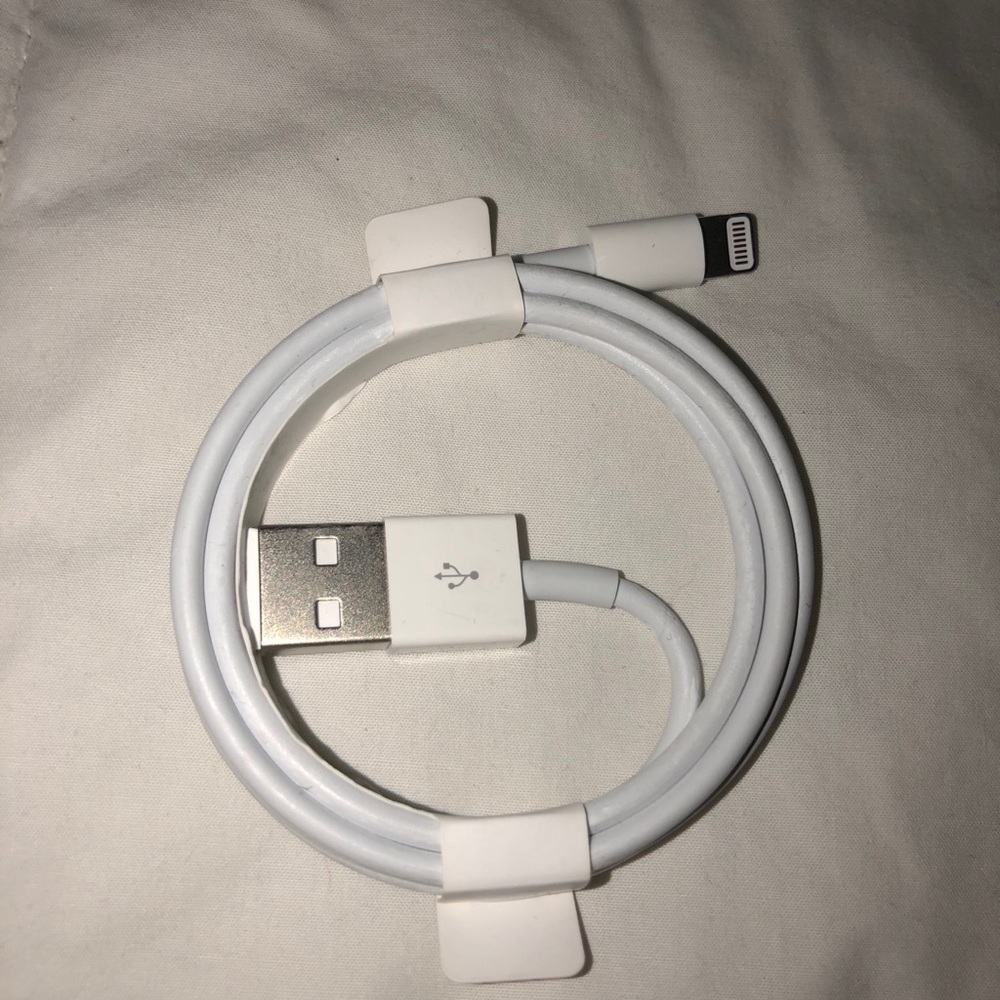Apple charger + headset